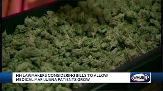 NH committee endorses medical marijuana home-grow