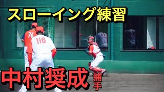 中村奨成捕手（広島東洋カープ）スローイング練習　倉コーチが付きっきりで指導