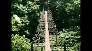 藤代奥の吊橋