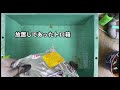 メダカビオトープと鳥の餌台作り