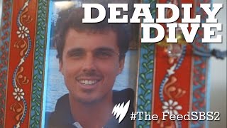 Pearl Diver Jarrod Hampton's Death I The Feed