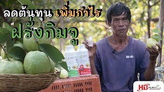 รีวิวHBPlantSpecial l ลดต้นทุน เพิ่มกำไรฝรั่งกิมจู