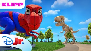 Dinosaurieskelett | Spidey och hans fantastiska vänner | Disney Junior Sverige