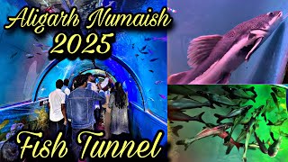 Fish Tunnel In Aligarh Numaish 2025 😱 First Experience || ऐसा नजारा कभी नहीं देखा होगा 😲 || Aligarh