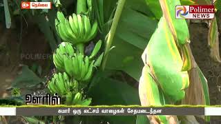 கனமழை மற்றும் சூறைக்காற்று காரணமாக சுமார் ஒரு லட்சம் வாழைகள் சேதம்