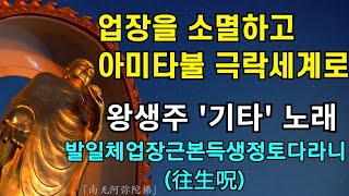 업장소멸하고 아미타불의 극락세계에 왕생 발일체업장근본득생정토다라니 기타노래 |불교명상음악 나무아미타불 염불 왕생주 遍拔一切業障根本得生淨土陀羅尼