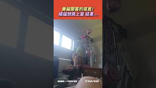 【#shorts 】養貓開窗的底氣！ 橘貓想跳上窗結果......