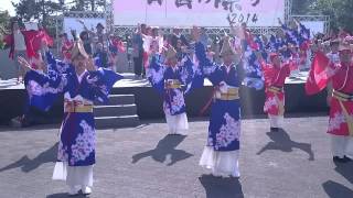 正調よさこい　十人十彩　四国の祭り2014