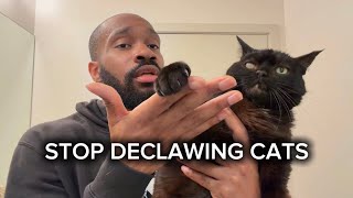 Why you should never declaw your cat….