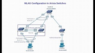 MLAG configuration \u0026 Design in Arista Switches|example with Peer link group|MLAG domainID Interface