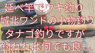 初めての小物エサ釣り  城北ワンドで極小ギル釣り