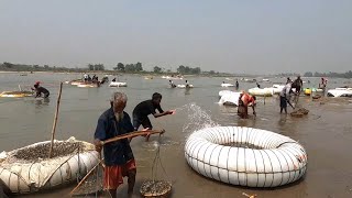 মহানন্দা নদীতে পাথর উত্তোলনের এক অপূর্ব দৃশ্য || বাংলাদেশ -ভারত সীমান্ত ||