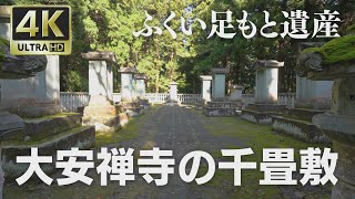 4K映像 ふくい足もと遺産「大安禅寺の千畳敷」