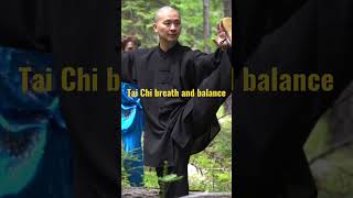 Tai Chi breath and balance #taichi #taiji #kungfu #healthy #太极拳 #qigong #taichimaster #zen #养生