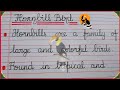 5 Lines Essay on Hornbill Bird | Few Lines on Hornbill Bird in English in | Essay in Cursive Writing