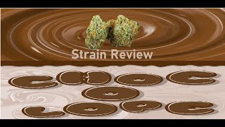 Chocolope AKA D-Line Strain Review Kush/Cannabis Review +Plant Update #chocolope