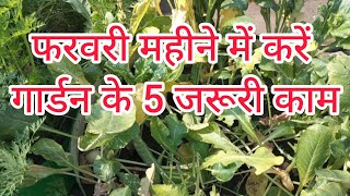 फरवरी महीने में गार्डन के कुछ जरूरी काम। garden tips #kiranskitchengarden