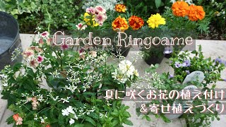 【ガーデニング】夏に咲くお花の植え付けと寄せ植えづくり🌼【寄せ植え】