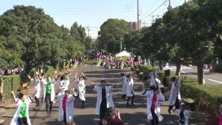 2016　11　5　東海秋祭り 勤労センター前会場　Anjo北斗