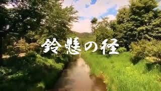 カラオケ 鈴懸の径/灰田勝彦