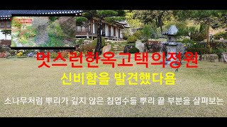 기품있는 멋스런고택 한옥의정원 아산이화제