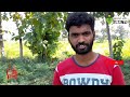 ఆయిల్ ఫామ్ సాగు oil palm cultivation part 1 farmer life rural tv telugu రూరల్ టీవీ