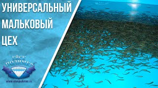 Мини универсальный мальковый цех