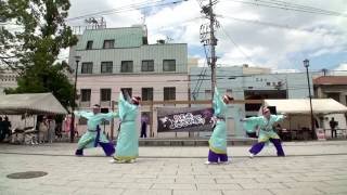 YOSAKOI小林翔舞会 さん　2016　黒崎よさこい祭り