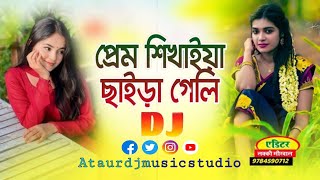 প্রেম শিখাইয়া ছাইড়া গেলি | Prem Shikhaiya Chaira Geli | New Bangla dj song