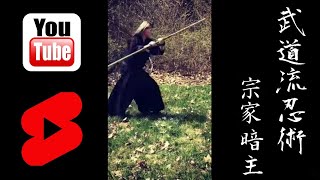 Ninja Martial Arts Bojutsu Training Techniques (Stick Fighting) | Ninjutsu, Ninpo, Bujutsu, Budo