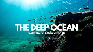 Deep Ocean: Exploring the Wonders of the Underwater World with David Attenborough