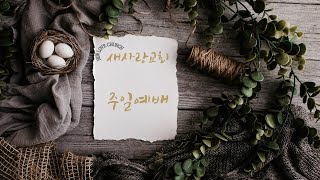 새사랑교회 5월 3일 주일예배(실시간 라이브)