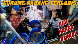 UPDATE CEK HARGA TERBARU IKAN HIAS BIBIT KONSUMSI TERMURAH TERLENGKAP PASAR IKAN HIAS JATINEGARA