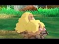 Sand Force Alolan Dugtrio Is Lowkey Viable? Pokemon Sun and Moon RU Wifi Battle #73 Vs. Juan (1080p)