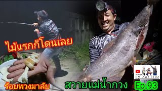 ไม้แรกก็โดนเลย🐟สวายแม่น้ำกวง Ep.93 วิถีวันหยุด By Aof like #ตกปลา#ตกปลาสวาย#หมายธรรมชาติ