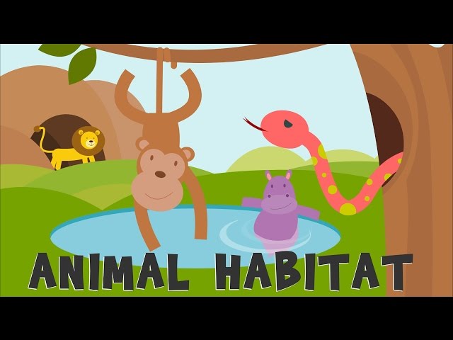 Animal Habitats Where Do Animals L English Esl Video Lessons