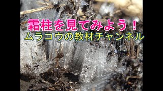 霜柱の観察（小学１・２年生活科）