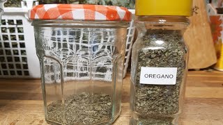 How to process and preserve Italian oregano and chives