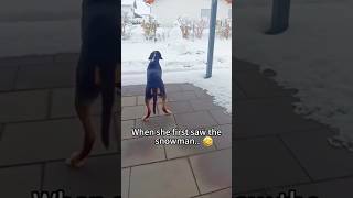 When a dog encounters a snowy day🤣🐶 #funnyvideo #funny #funnypets #dogs