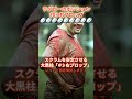 【ラグビーのポジション】＃03 チームいちの巨漢！？スクラムの大黒柱「右プロップ」 解説 ラグビー shorts