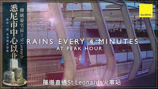 悉尼市中心以北 傳統豪宅區St Leonards盛世項目