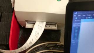 Visual basic printing to zebra printer