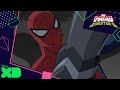 Ultimate Spider-Man Vs. The Sinister Six | Maximum Carnage | Official Disney XD UK