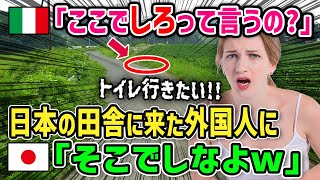 【海外の反応】「あそこでするの！？冗談はよして！イタリアじゃ考えれないわ！」日本の田舎でトイレが我慢できなくなったイタリア人の末路→日本のコンビニで衝撃の体験とは？