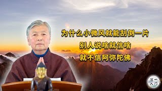 刘素云老师：为什么一点小微风就能刮倒一片，别人说啥就信啥