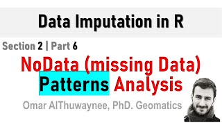 NoData (missing data) Patterns Analysis | Data Imputation in R part 2.6