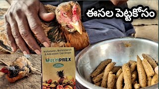 మా కోళ్ళ సంరక్షణ|jaathikolla pempakam lo kastanastaalu