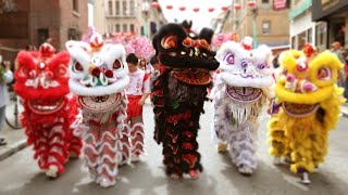 Barongsai || Atraksi budaya Tionghoa saat Imlek