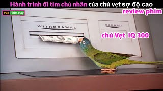 chú Vẹt có IQ 300 nhưng Sợ Độ Cao - review phim Chú Vẹt Paulie