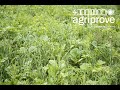 Agriprove - Grow Top Soils - The Science of Soil Carbon